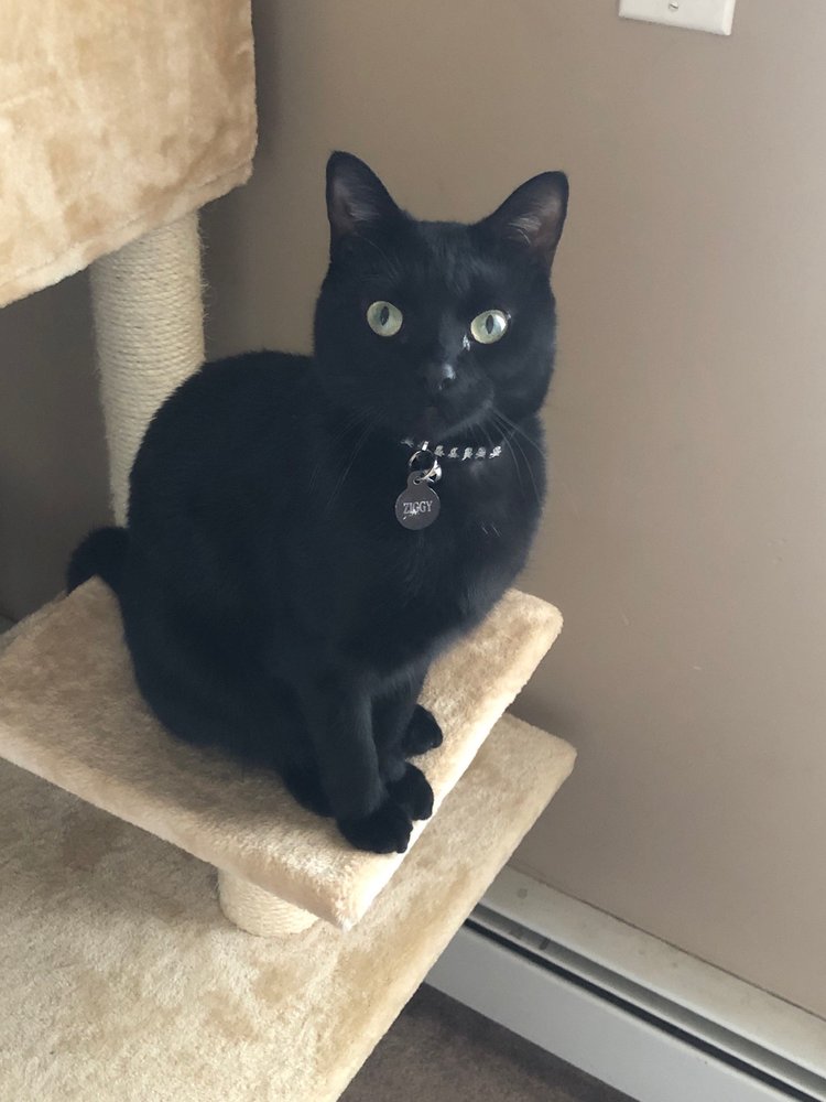 POTTER LEAGUE FOR ANIMALS Updated October 2024 19 Photos & 32