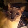 Photo of Winona Veterinary Hospital PC