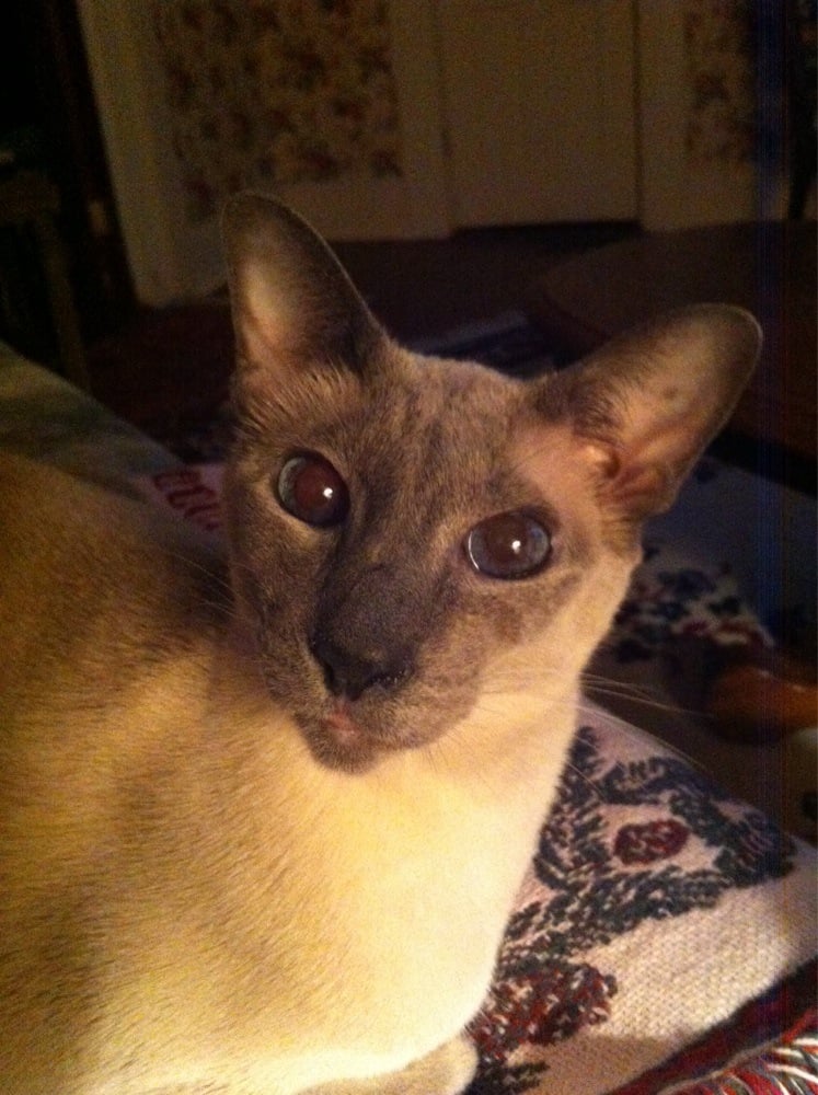 WINONA VETERINARY HOSPITAL PC Updated October 2024 566 Hwy 51