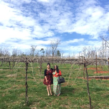 Wolf Mountain Vineyards - Bare vineyards. But still beautiful. - Wineries Near Me - Dahlonega, Georgia Wolf Mountain Vineyards - Bare vineyards. But still beautiful. - Wineries Near Me - Dahlonega, Georgia
