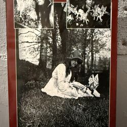 Bloody Mary's Tours - Photos of faeries?