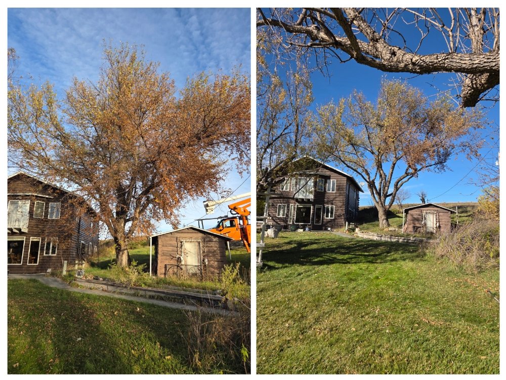 Double Angel Tree Surgery - tree service in Shepherd, MT