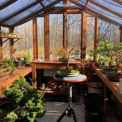 Cedar Built Greenhouses - Interior with plants