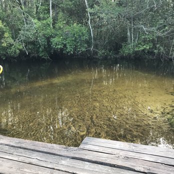 Cedar Creek Resort - Water so clear - Nudist Near Me - Leesville, South Carolina Cedar Creek Resort - Water so clear - Nudist Near Me - Leesville, South Carolina