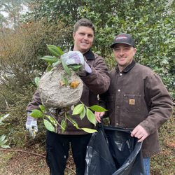 Jason and Toby removing a large hornets nest