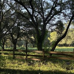 Rossi Properties - Beautiful trees, well kept area
