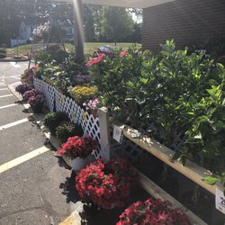 Stop & Shop - Waterford S&S has lots of beautiful flowers and plants. They all look great with a large selection.