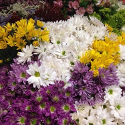 Country Cupboard Floral & Gift