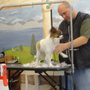 Photo of Best In Show Pet Spa