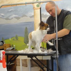 Best In Show Pet Spa