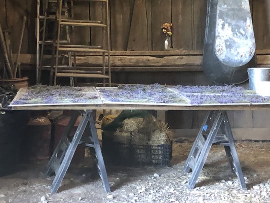 1760 Homestead Farm by null