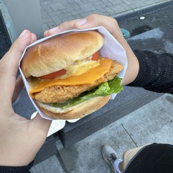 Plantiful Superfoods - Classic burger with chick'n - Vegan Near Me - Seattle, Washington