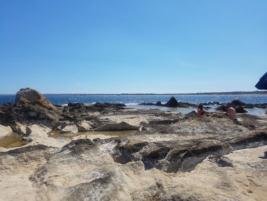 Riserva naturale orientata Oasi Faunistica di Vendicari by null