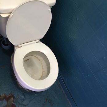 Ocean Fish & Chips - Yucks! Do not use their toilet before your meal or your day is done for! - Seafood Near Me - Elk Grove, California Ocean Fish & Chips - Yucks! Do not use their toilet before your meal or your day is done for! - Seafood Near Me - Elk Grove, California