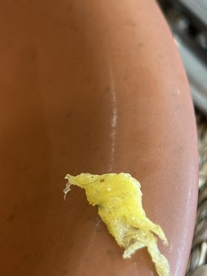 Mujer Divina Brunch Café by null