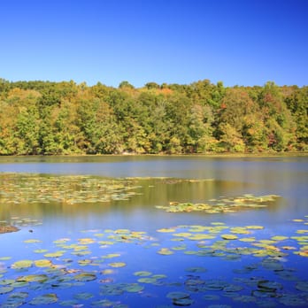 Teatown Lake Reservation - Lake - Hiking Near Me - Ossining, New York