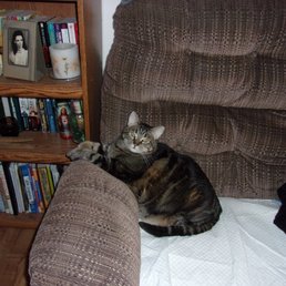 Tassy Feitz 07/2013-11/18/2019