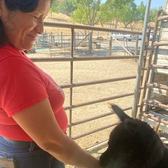 Menagerie Hill Ranch - Loved getting close to these cuties - Tours Near Me - Vacaville, California Menagerie Hill Ranch - Loved getting close to these cuties - Tours Near Me - Vacaville, California