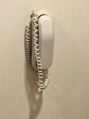 Suncoast Hotel and Casino by null