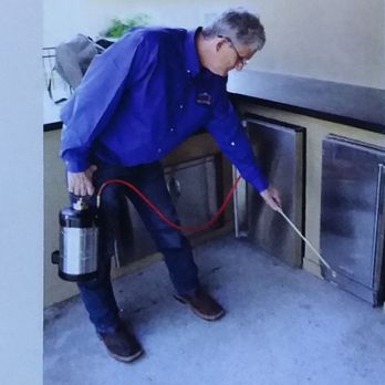 Lone Star Bug & Pest Control - Pest Control Near Me Lone Star Bug & Pest Control - Pest Control Near Me