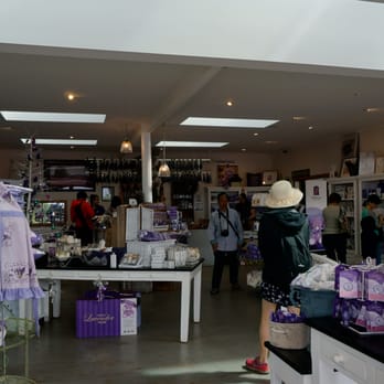 Bridestowe Lavender Estate - gift shop - Farms Near Me - Nabowla, TAS