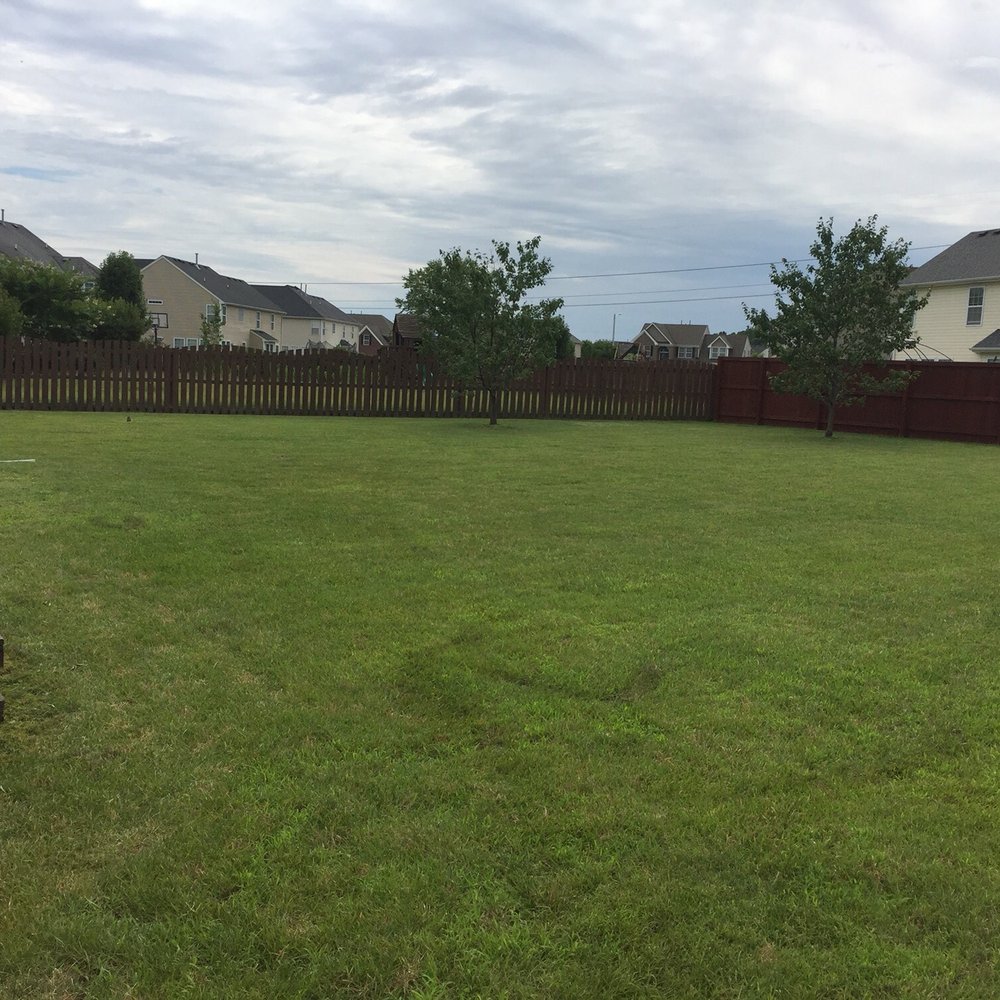 Budget Cuts - Back Yard - Landscaping Near Me - Chesapeake, Virginia Budget Cuts - Back Yard - Landscaping Near Me - Chesapeake, Virginia