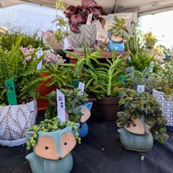 Lewisburg Farmers Market