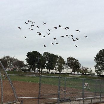 Clover Park - Parks Near Me - Santa Monica, California Clover Park - Parks Near Me - Santa Monica, California