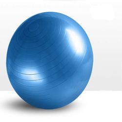 The Fit Factory - Blue Ball