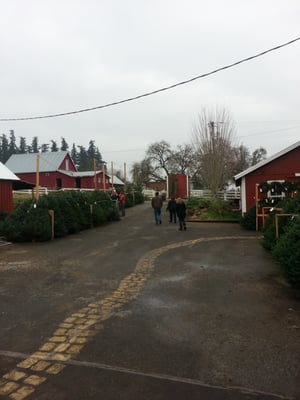 Oregon Heritage Farms by null