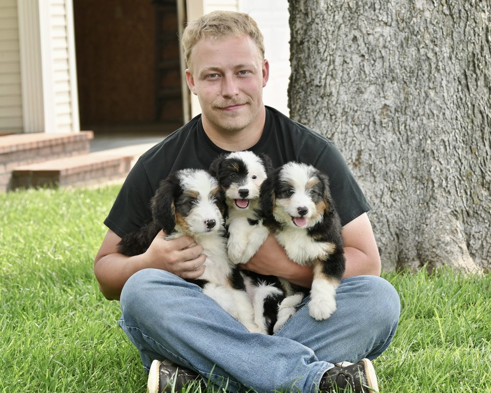 BOW CREEK KENNELS Updated August 2024 49 Photos Kensington