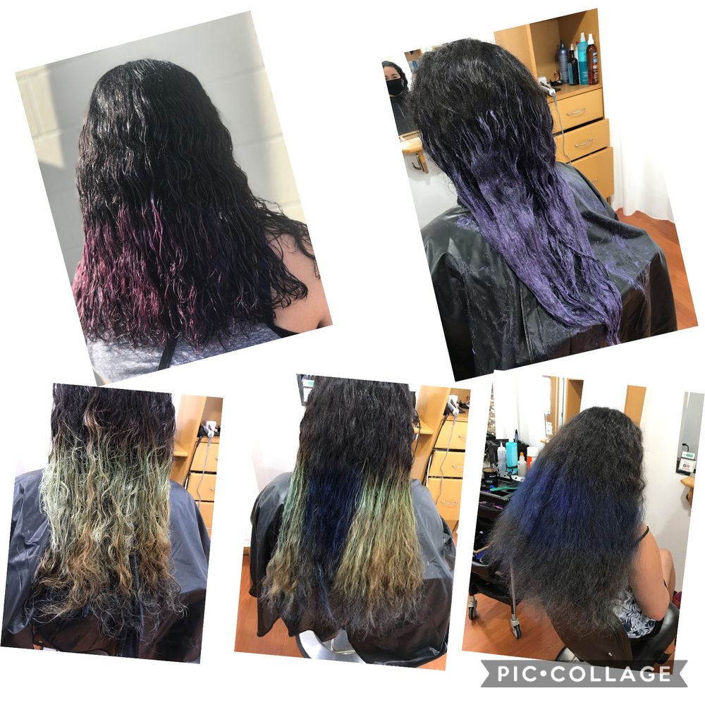 ICONIC SALON Updated October 2024 77 Photos 1338 Northmount Drive