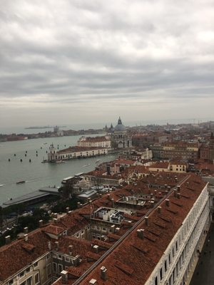 St Mark's Campanile by null