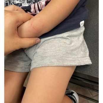 Learning Tree Day School - Preschools Near Me - Round Rock, Texas