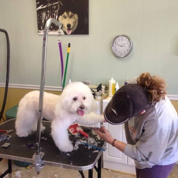 The Clip Joint - Pet Groomers Near Me - Arlington, Massachusetts The Clip Joint - Pet Groomers Near Me - Arlington, Massachusetts