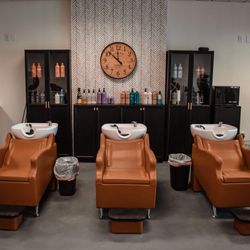 Wild Bloom Salon