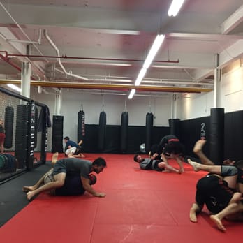 Primal MMA Academy - Martial Arts Near Me - Toronto, Ontario