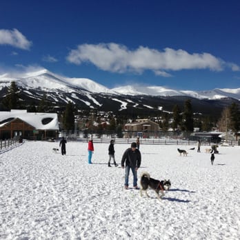 Carter Park Dog Park - Dog Parks Near Me - Breckenridge, Colorado Carter Park Dog Park - Dog Parks Near Me - Breckenridge, Colorado