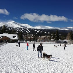 Carter Park Dog Park