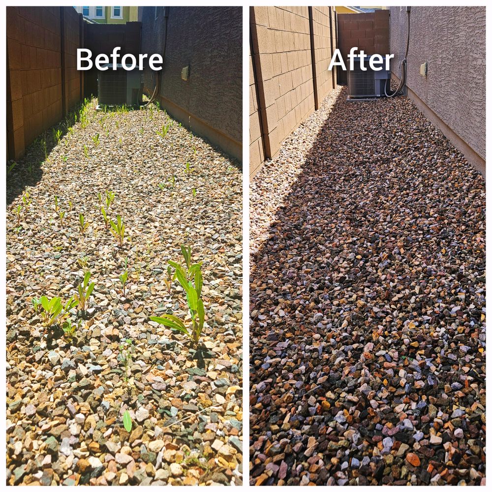 POOL & LANDSCAPING OF VISTANCIA Updated September 2024 Request a