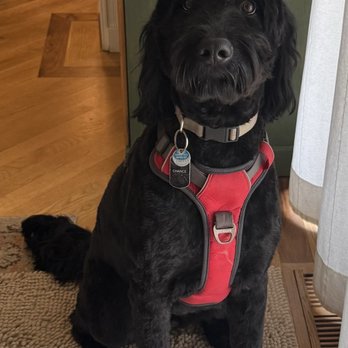 PetSmart - Pet Stores Near Me - Loveland, Colorado PetSmart - Pet Stores Near Me - Loveland, Colorado