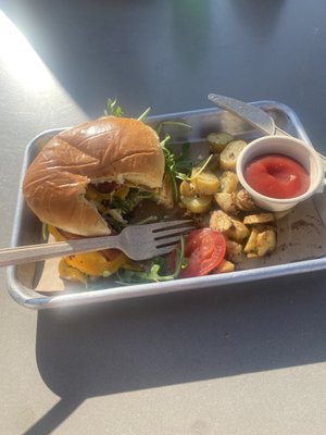 Under Canvas Zion by null