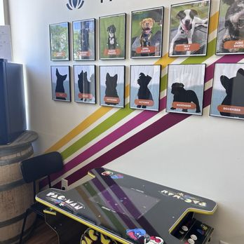 Brew Park - Fun! - Dog Parks Near Me - Plymouth, Minnesota Brew Park - Fun! - Dog Parks Near Me - Plymouth, Minnesota