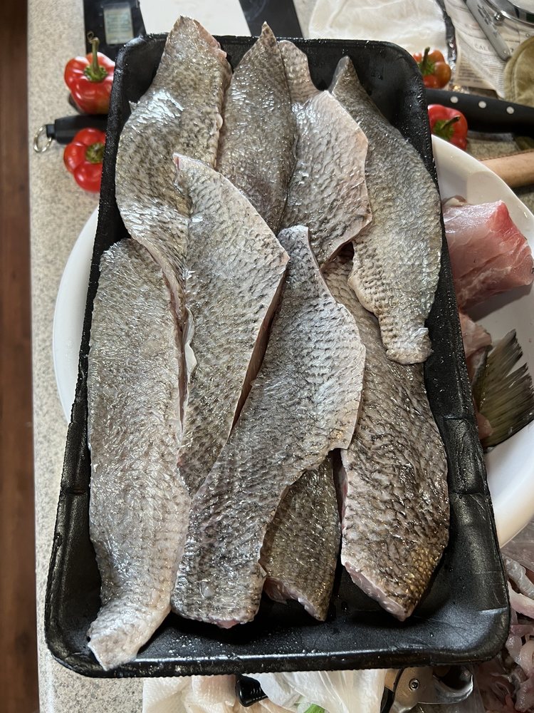 KEEPING IT FRESH WILD CAUGHT FISH Updated May 2024 Jackson Alabama keeping-it-fresh-wild-caught-fish-updated-may-2024-jackson-alabama