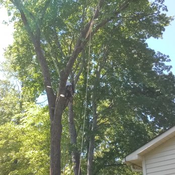 Lewis Brothers Tree - Tree Services Near Me