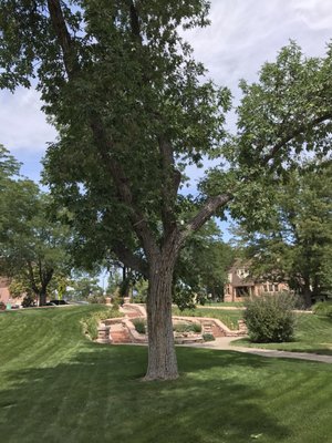 Rosemount Museum by null