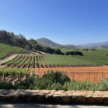 Gargiulo Vineyards - a view of a vineyard - Wineries Near Me - Oakville, California Gargiulo Vineyards - a view of a vineyard - Wineries Near Me - Oakville, California