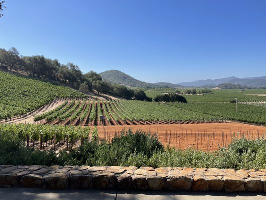 Gargiulo Vineyards by null