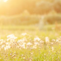 Osteopathy At Home - Osteopathy At Home, Helping all those who need assistance, with rehabilitation, recovery from postural changes.