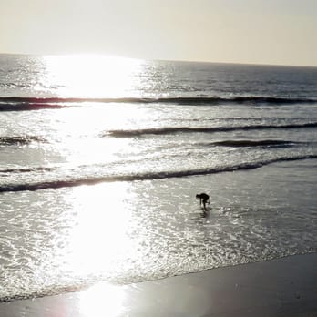 Oceanside Pier - Sunset seen from the pier - Venues & Event Spaces Near Me - Oceanside, California